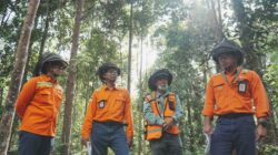 Perusahaan Tambang Nikel Berkelanjutan Asal Indonesia PT Vale Indonesia Masuk Daftar Fortune Southeast Asia 500 Tahun 2025