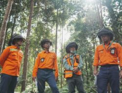 Perusahaan Tambang Nikel Berkelanjutan Asal Indonesia PT Vale Indonesia Masuk Daftar Fortune Southeast Asia 500 Tahun 2025