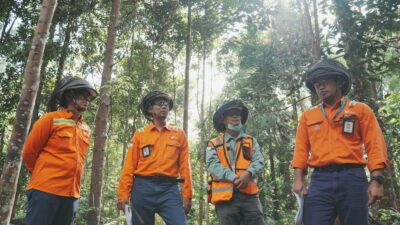 Perusahaan Tambang Nikel Berkelanjutan Asal Indonesia PT Vale Indonesia Masuk Daftar Fortune Southeast Asia 500 Tahun 2025