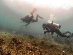 Langkah Strategis Pulihkan Laut Demi Generasi Mendatang: PT Vale Tanam 25 Struktur Terumbu Karang dan Bersihkan Pesisir Pulau Bulupoloe
