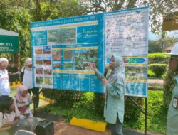 PT.Vale Hebat, Lestarikan Lahan Bekas Tambang Jadi Hutan Lebat, Ada 5,1 Juta Pohon Ditanam