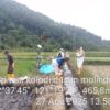 Bersama Pulihkan Towuti: Kolaborasi Pemerintah, Masyarakat, dan PT Vale untuk Ketahanan Bersama