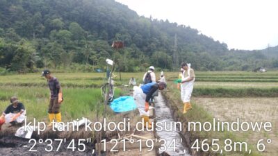 Bersama Pulihkan Towuti: Kolaborasi Pemerintah, Masyarakat, dan PT Vale untuk Ketahanan Bersama