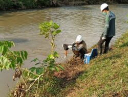 Pasca Insiden Pipa MFO PT.Vale , Bupati Lutim Sampaikan Air Towuti Aman Untuk Warga