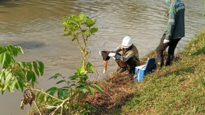 Pasca Insiden Pipa MFO PT.Vale , Bupati Lutim Sampaikan Air Towuti Aman Untuk Warga