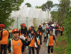 PT Vale Jadi Sekolah Lapangan, Puluhan Siswa SD Belajar Cinta Lingkungan di Area Tambang yang Kini Hijau