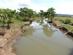 Komitmen untuk Lingkungan dan Masyarakat Towuti, PT Vale Tegaskan Kualitas Air Aman dan Pemulihan Berjalan Terukur