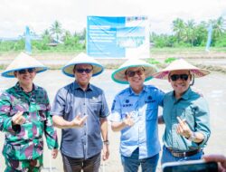 Dari Lahan Kolaka untuk Ketahanan Pangan Indonesia: PT Vale Kolaborasi Padi Berkelanjutan untuk Hadirkan Transformasi Pertanian Berbasis Inovasi