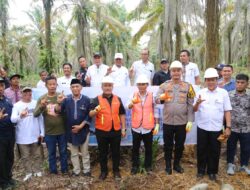 Bupati Irwan Groundbreaking Pabrik Gabah BUMDesma, Tonggak Kemandirian Pangan Luwu Timur