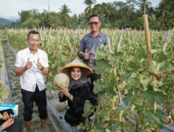 PKK Luwu Timur Serahkan Bantuan Hidroponik dan Kolam Terpal ke Dasawisma di Wanasari