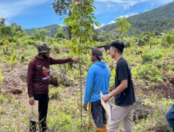 Tuntutan Fantastis Dilahan Pemda Lutim, Oknum Penggarap Ajukan Ganti Rugi Rp 1,38 Triliun