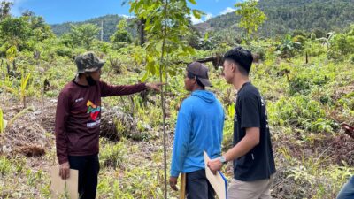 Tuntutan Fantastis Dilahan Pemda Lutim, Oknum Penggarap Ajukan Ganti Rugi Rp 1,38 Triliun