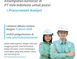 Lowongan Kerja PT Vale Indonesia: Procurement Analyst, Tanpa Biaya Rekrutmen