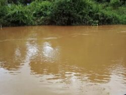 Settling Pond Jebol, Sungai Ussu Tercemar Parah, DLH Ancam Hentikan Operasi PT PUL