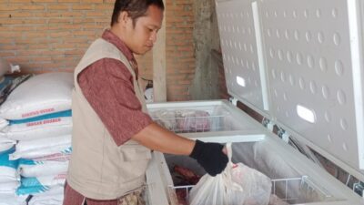 Jelang Idul Fitri 1447 H, Dinas Pertanian Intensifkan Pengawasan Kesehatan Hewan di 7 Kecamatan