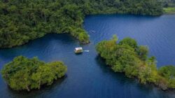 Menapaki Jalan Panjang Geopark Matano: Luwu Timur Kejar Pengakuan Nasional Hingga UNESCO