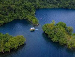 Menapaki Jalan Panjang Geopark Matano: Luwu Timur Kejar Pengakuan Nasional Hingga UNESCO