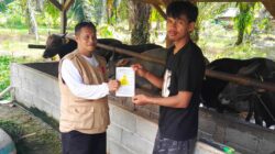Jelang Idul Adha 1447 H, Pemkab Luwu Timur Perketat Pengawasan Hewan Kurban untuk Cegah PHMS