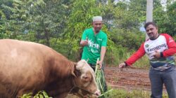Berbagi Keberkahan Idul Adha, PT Vale Donasi Hewan Kurban ke Wilayah Pemberdayaan