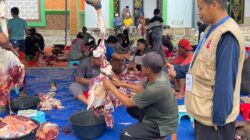2.216 Ekor Hewan Kurban Disembelih di Luwu Timur pada Iduladha 1447 H, Presiden dan Bupati Turut Berkurban