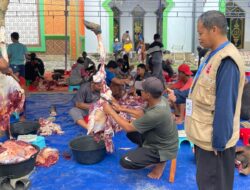 2.216 Ekor Hewan Kurban Disembelih di Luwu Timur pada Iduladha 1447 H, Presiden dan Bupati Turut Berkurban