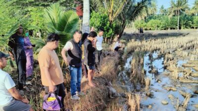 Petugas Kebersihan PKM Kalaena Ditemukan Tewas Bersimbah Luka di Persawahan