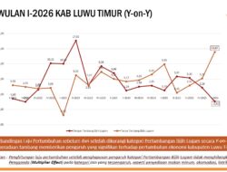 BPS Ungkap Wajah Baru Ekonomi Luwu Timur, Non-Tambang Tumbuh 13,87 Persen, Tertinggi dalam 5 Tahun Terakhir