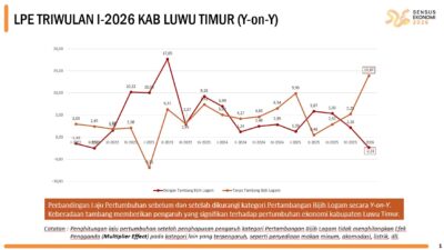 BPS Ungkap Wajah Baru Ekonomi Luwu Timur, Non-Tambang Tumbuh 13,87 Persen, Tertinggi dalam 5 Tahun Terakhir