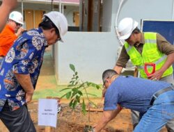 PT PUL Tanam Ratusan Mangrove di Luwu Timur, Tegaskan Komitmen Pelestarian Lingkungan