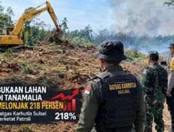 Bukaan Lahan di Tanamalia Melonjak 218 Persen, Satgas Karhutla Sulsel Perketat Patroli