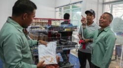 Perluas Akses Pasar Lewat Rumah Oleh-Oleh Telaloa, Vale Indonesia Dorong UMKM Lokal Tumbuh Lebih Pesat