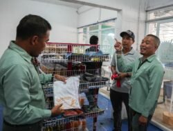 Perluas Akses Pasar Lewat Rumah Oleh-Oleh Telaloa, Vale Indonesia Dorong UMKM Lokal Tumbuh Lebih Pesat