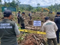 Penyidikan Perambahan Tanamalia Meluas, Gakkum Kehutanan Dalami Keterlibatan Ali Kamri