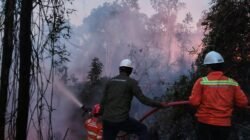 GAKKUM Tegaskan Petani Wajib Patuh Aturan Penggunaan Kawasan Hutan