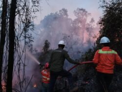 GAKKUM Tegaskan Petani Wajib Patuh Aturan Penggunaan Kawasan Hutan