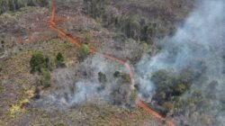 Warga Loeha Raya Minta Gakkum Usut Tuntas Oknum Pembakar Hutan